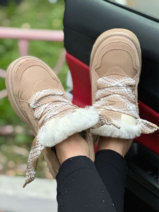 UGG Lowmel у трьох кольорах