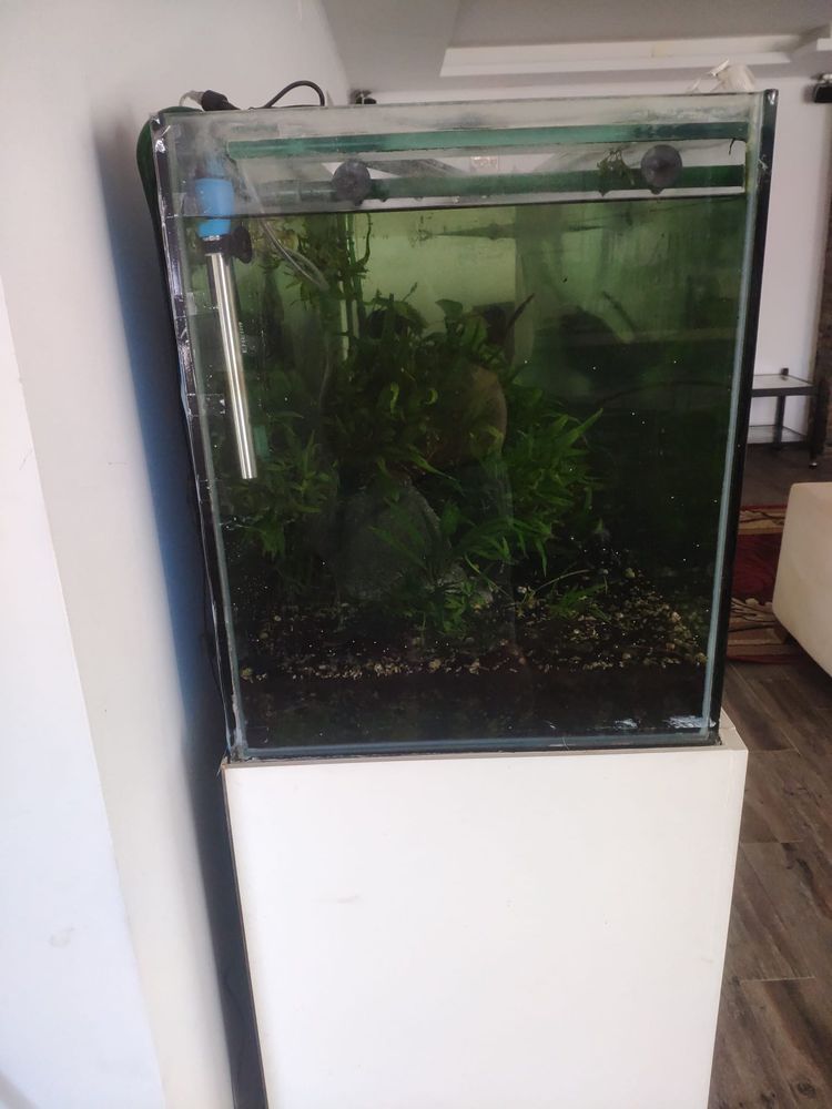 Aquario com movel 660 litros