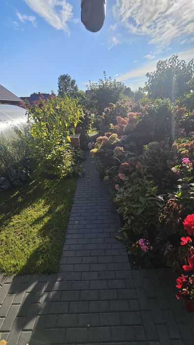 Działka Raj Spółdzielczy Jagiellończyka