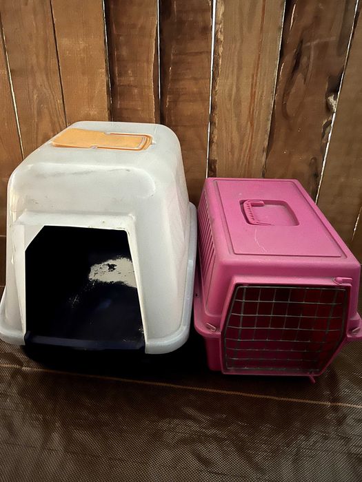 Caixa de transporte e caixa de areia gato/cão