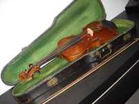 Violino