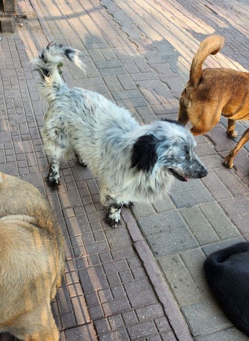 Tobie, Pani się wyprowadziła i Go zostawiłam.