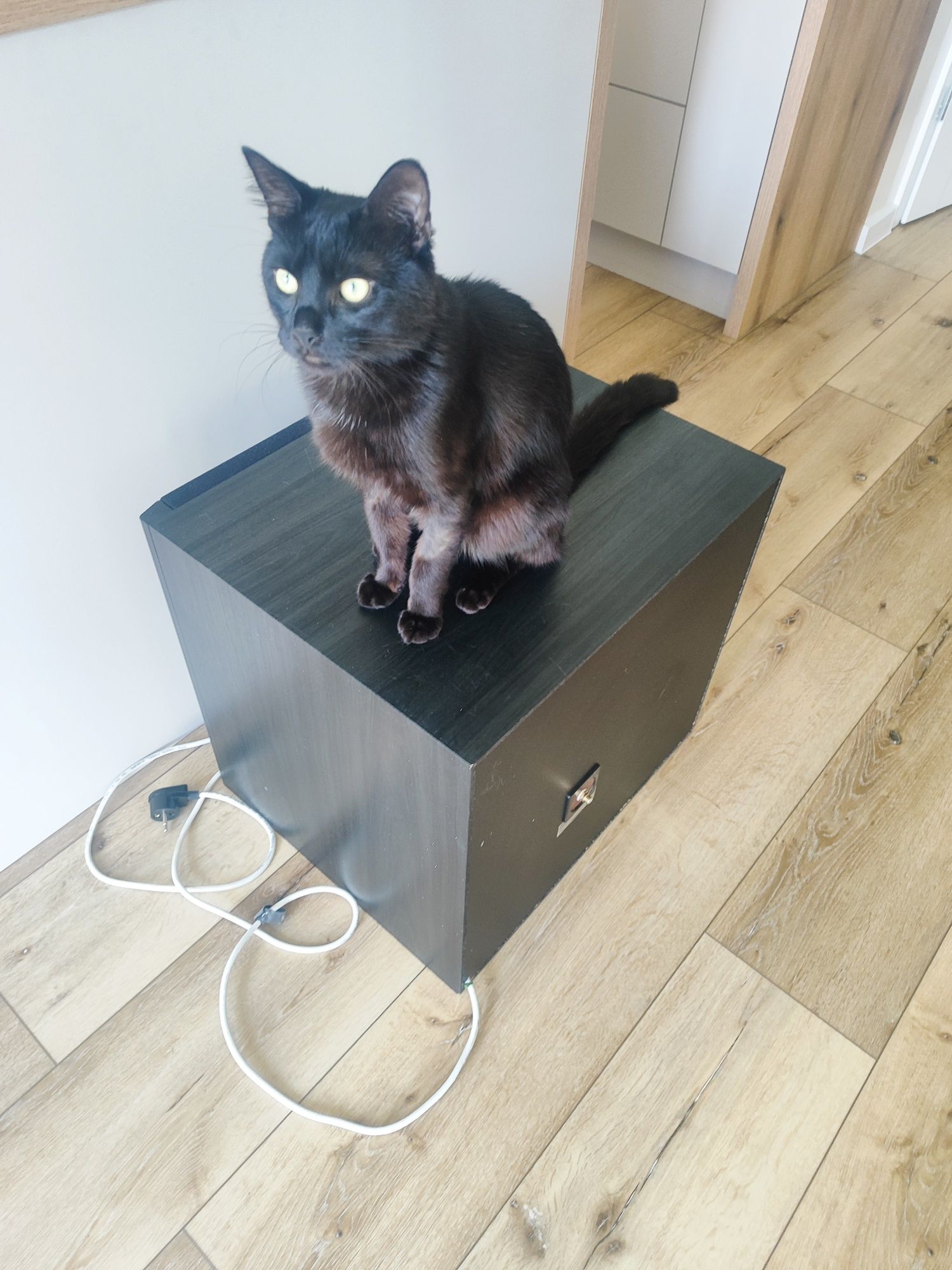 Subwoofer Sony SSW662E