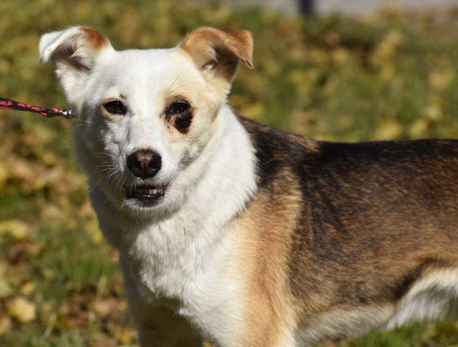 Velia czeka właśnie na Ciebie