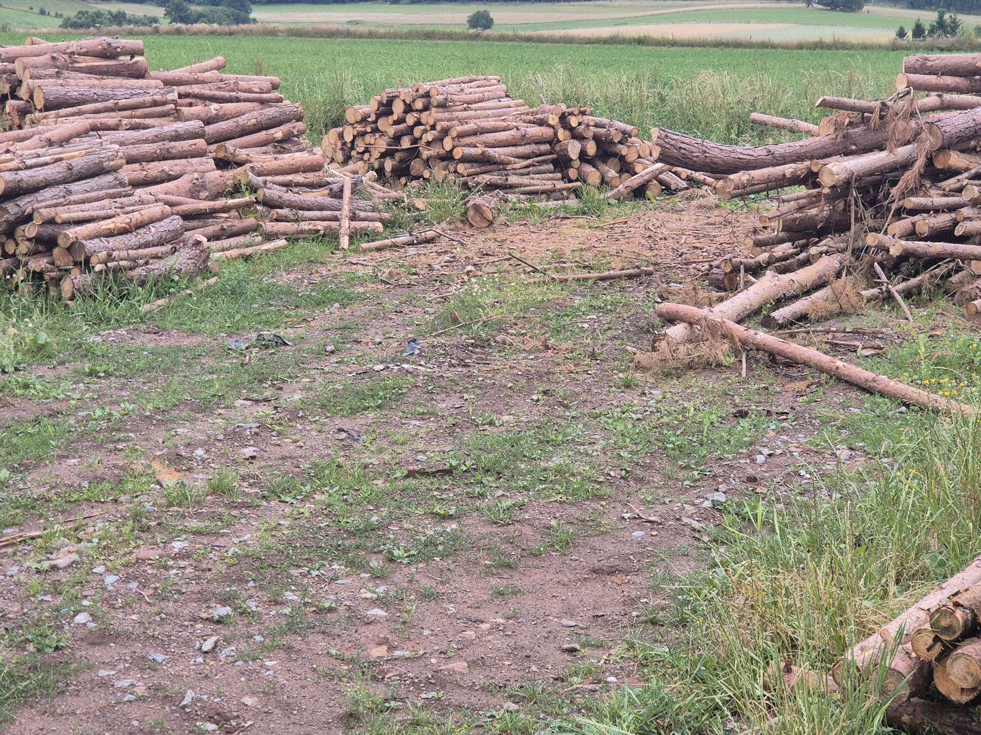 Żerdzie drewniane ,świerkowe i sosnowe , ( drewno opałowe)