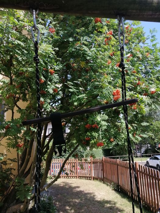 Huśtawka z oparciem drewniana ogrodowa