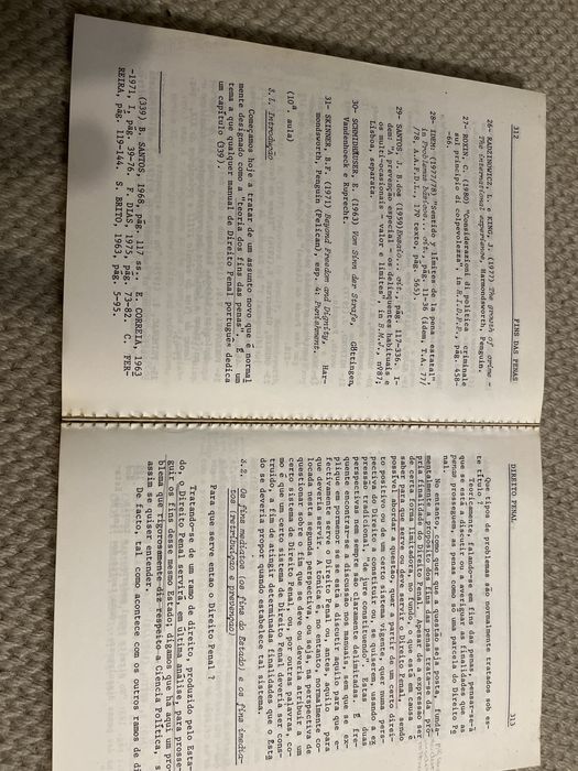 Direito Penal - Teresa Pizarro Beleza