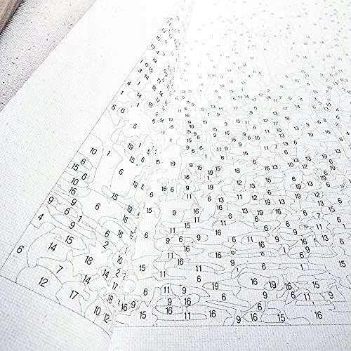 obraz do malowania po numerach 40x50 tishiron zachód słońca krajobraz