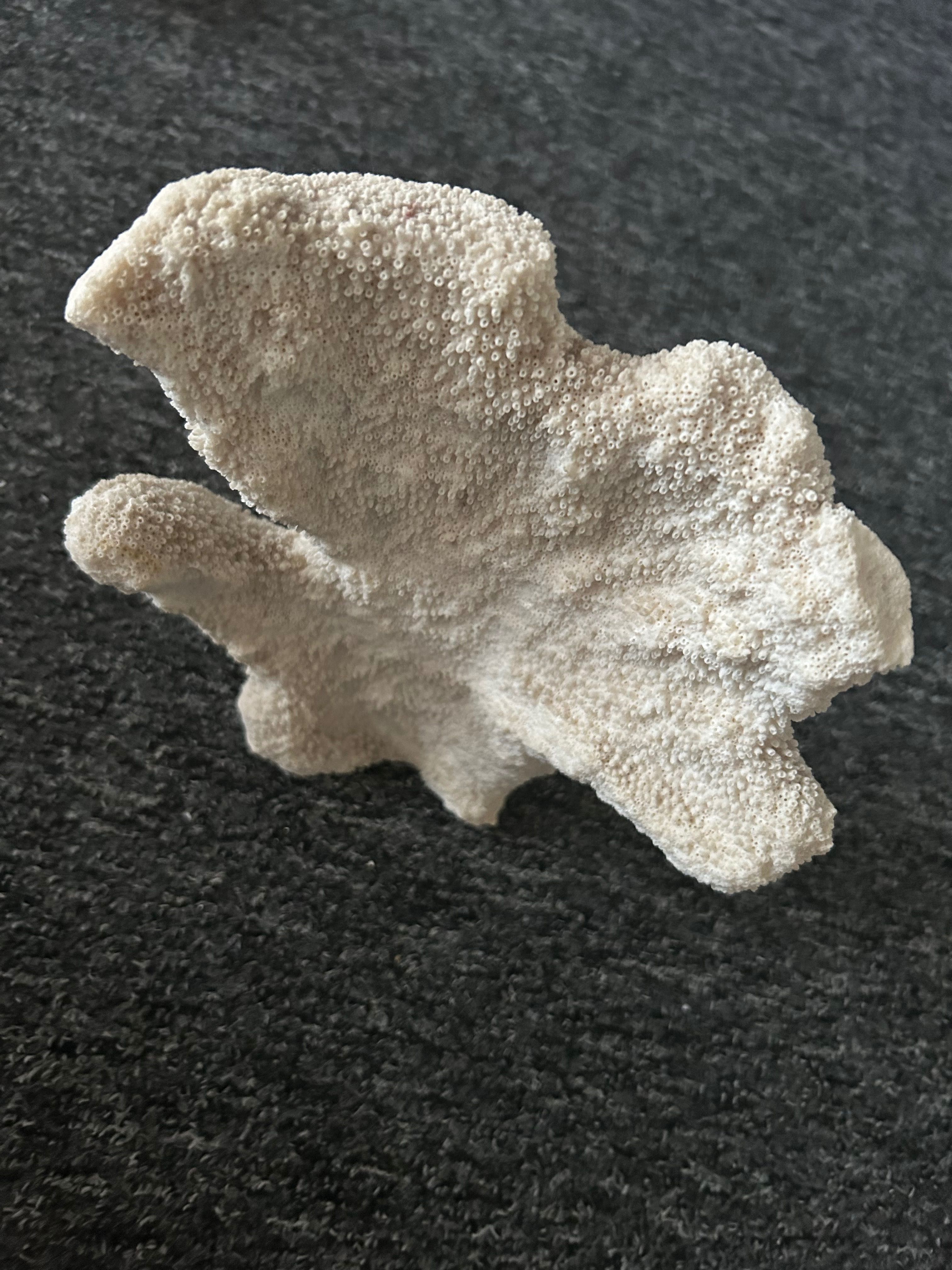 Dekoracja akwariowa nr 04
