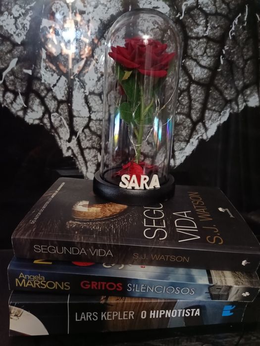 Dia dos Namorados Rosa c/ led's em cúpula/redoma personalizada c/ nome