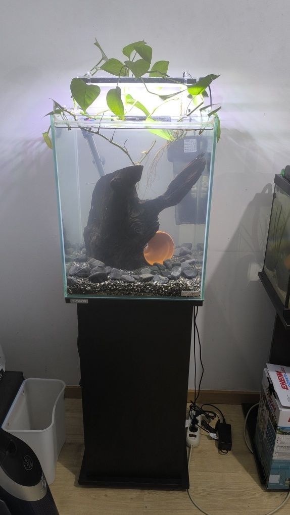Vendo aquário cubo completo da marca Sera