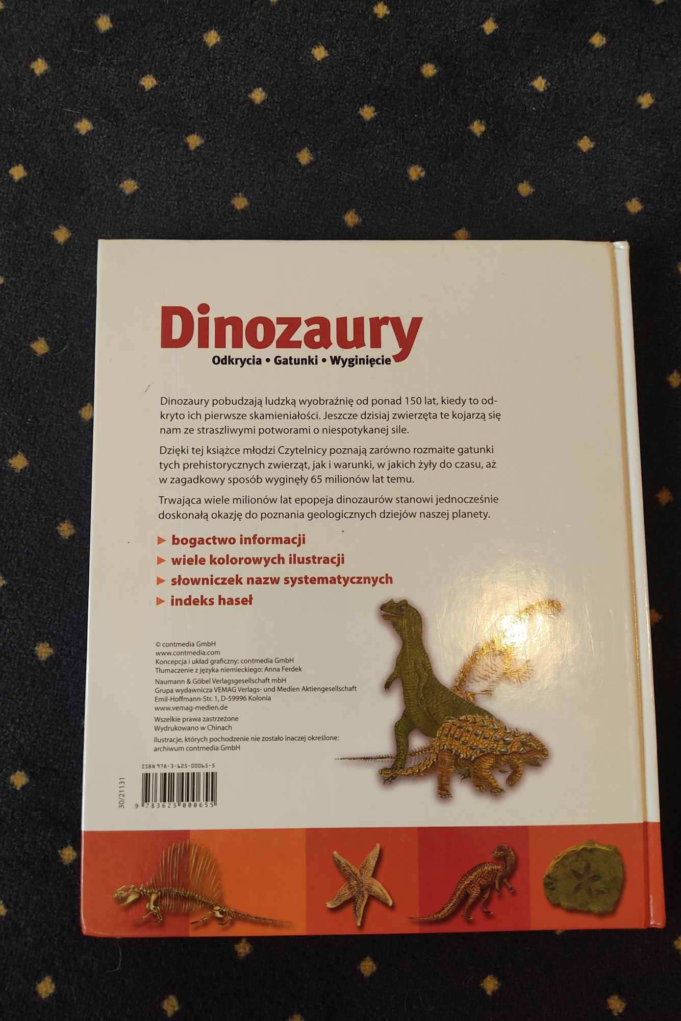 Zestaw książek o dinozaurach