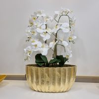 Arranjo de Orquidea Dourado - By Arcoazul