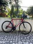 Cannondale Synapse L 56