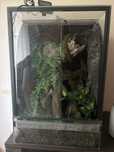 Terrarium z wodospadem 40x40x60