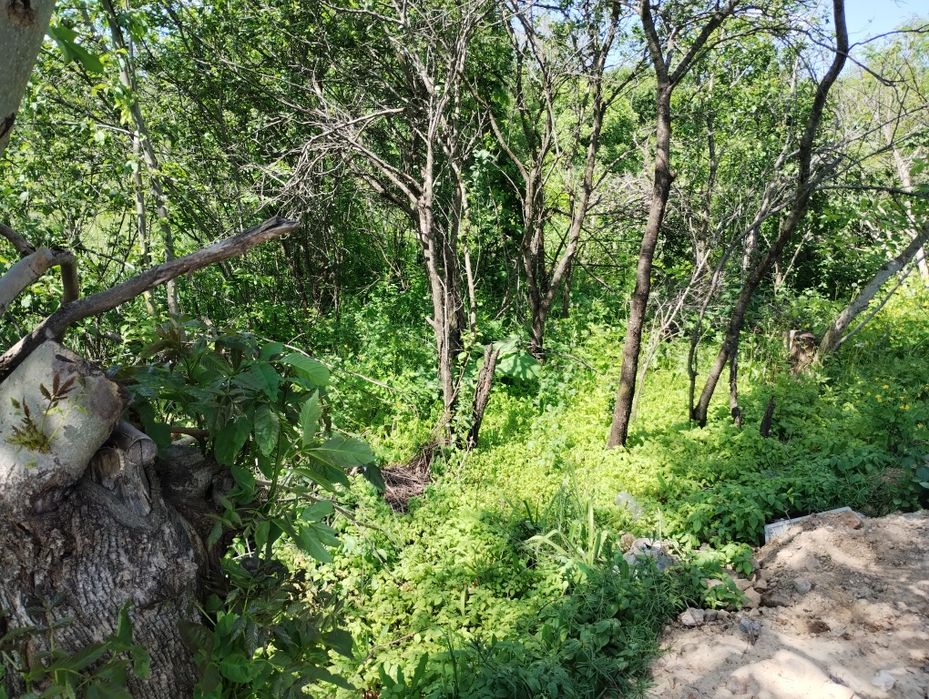 Замельна ділянка під забудову