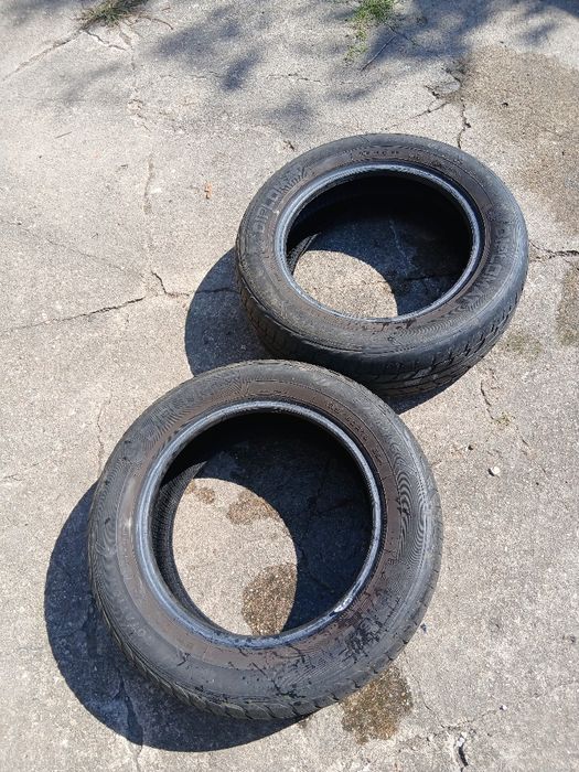 Opony letnie Diplomat