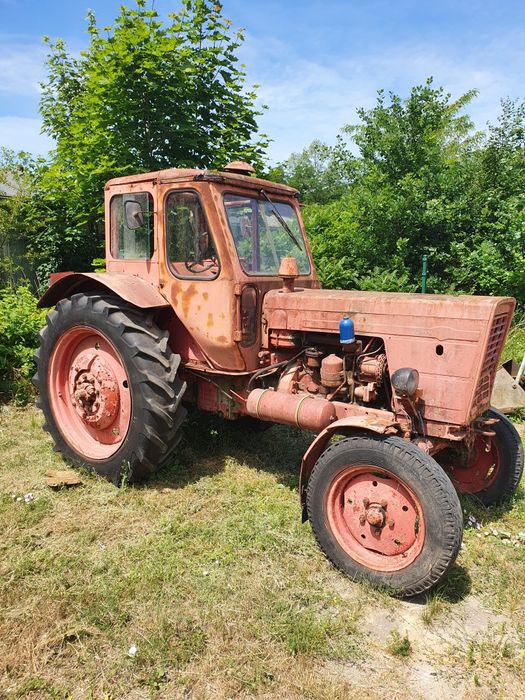 MTZ 50 1975r w oryginalnym stanie