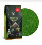 Trawa ziarno VIPP GRASS Strong Barenbrug