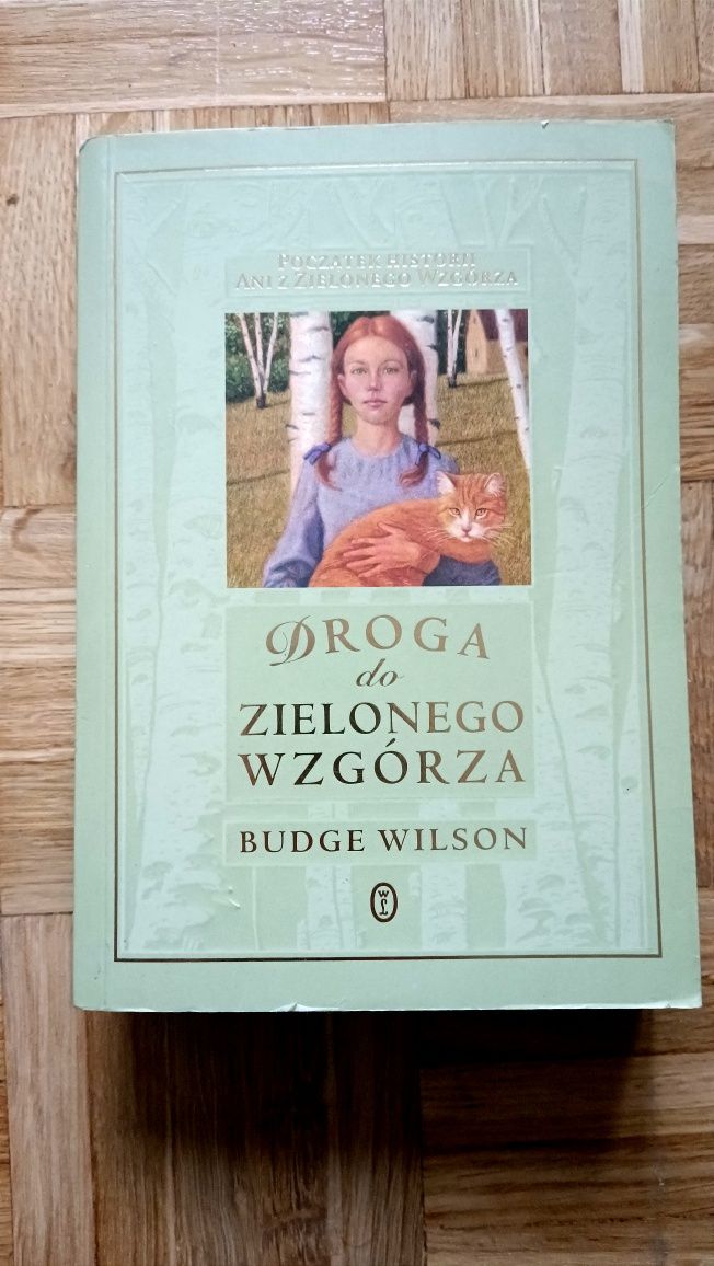 Droga do Zielonego Wzgórza - Budge Wilson