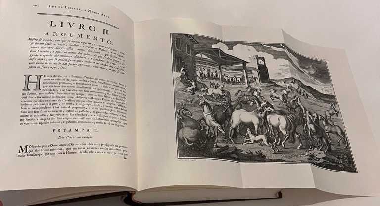 Luz da Liberal e Nobre Arte de Cavalaria