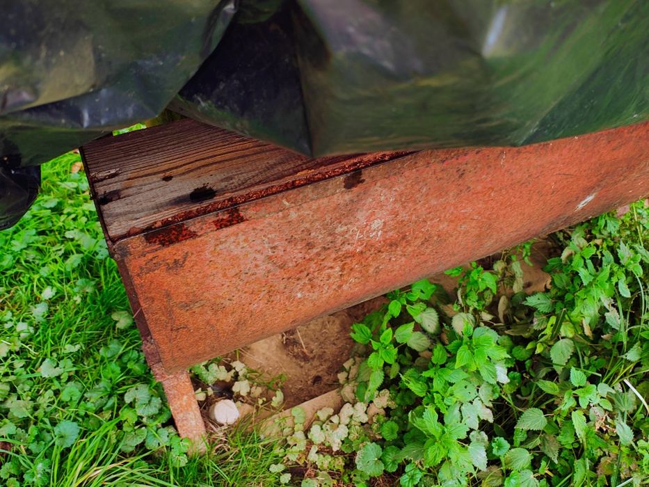 Korowarka do wikliny(wierzby)