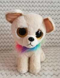 Maskotka Chewey Beanie Boo Chihuahua Ty