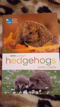 англ. Книга о ежиках ёж james lowen rspb spotlight hedgehogs