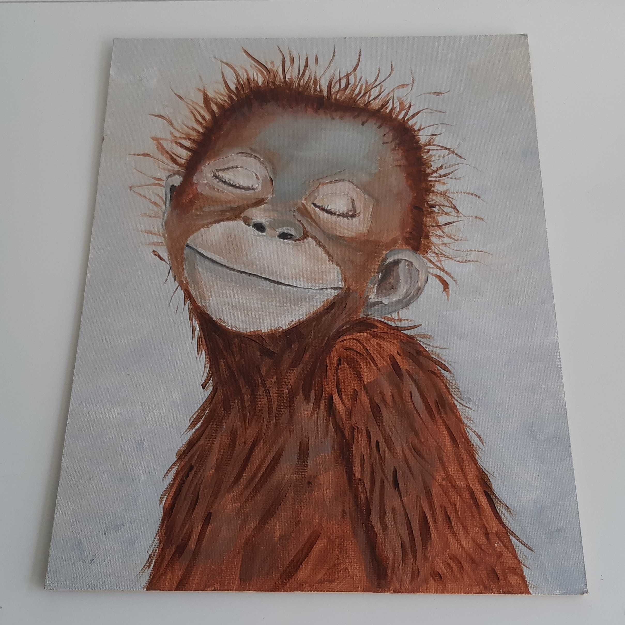 Quadro Macaquinho Pintura Acrílico Original 27x35cm Olga Baptista