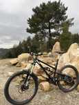 Focus sam 27’5