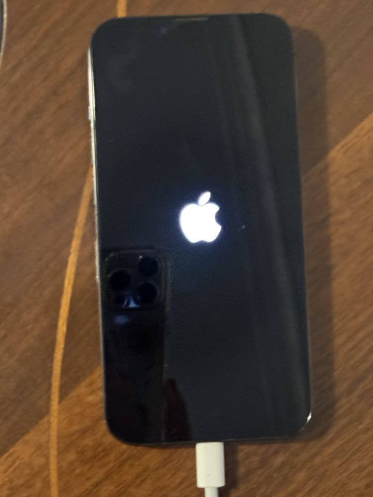 Iphone 13 pro ( avariado)