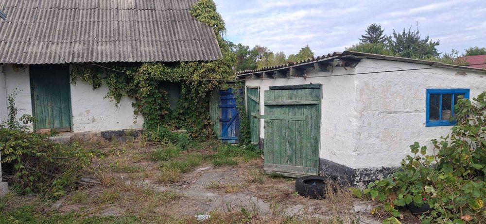 Продам будинок Ольшаниця Київська область