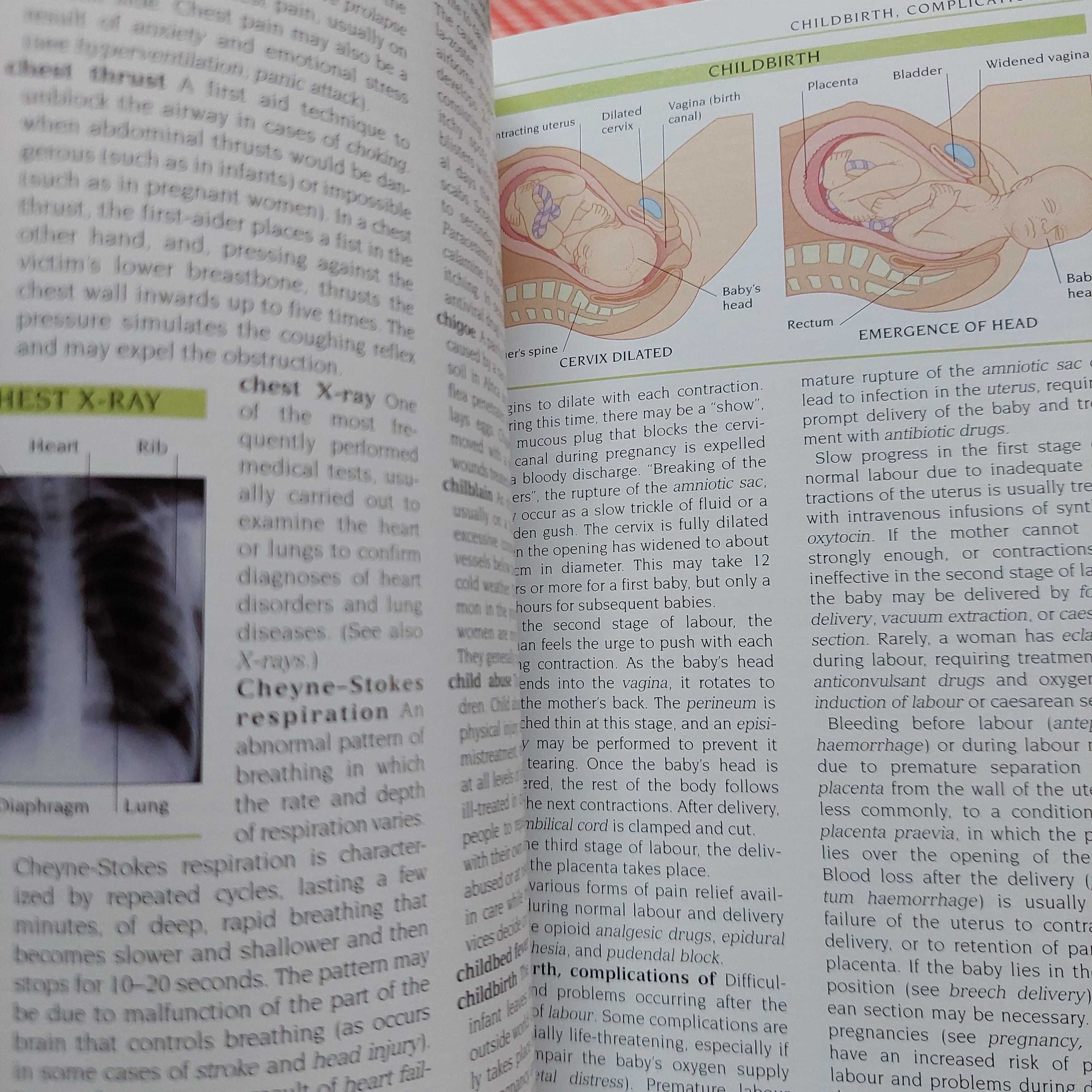 Dicionários médicos - português, inglês, espanhol