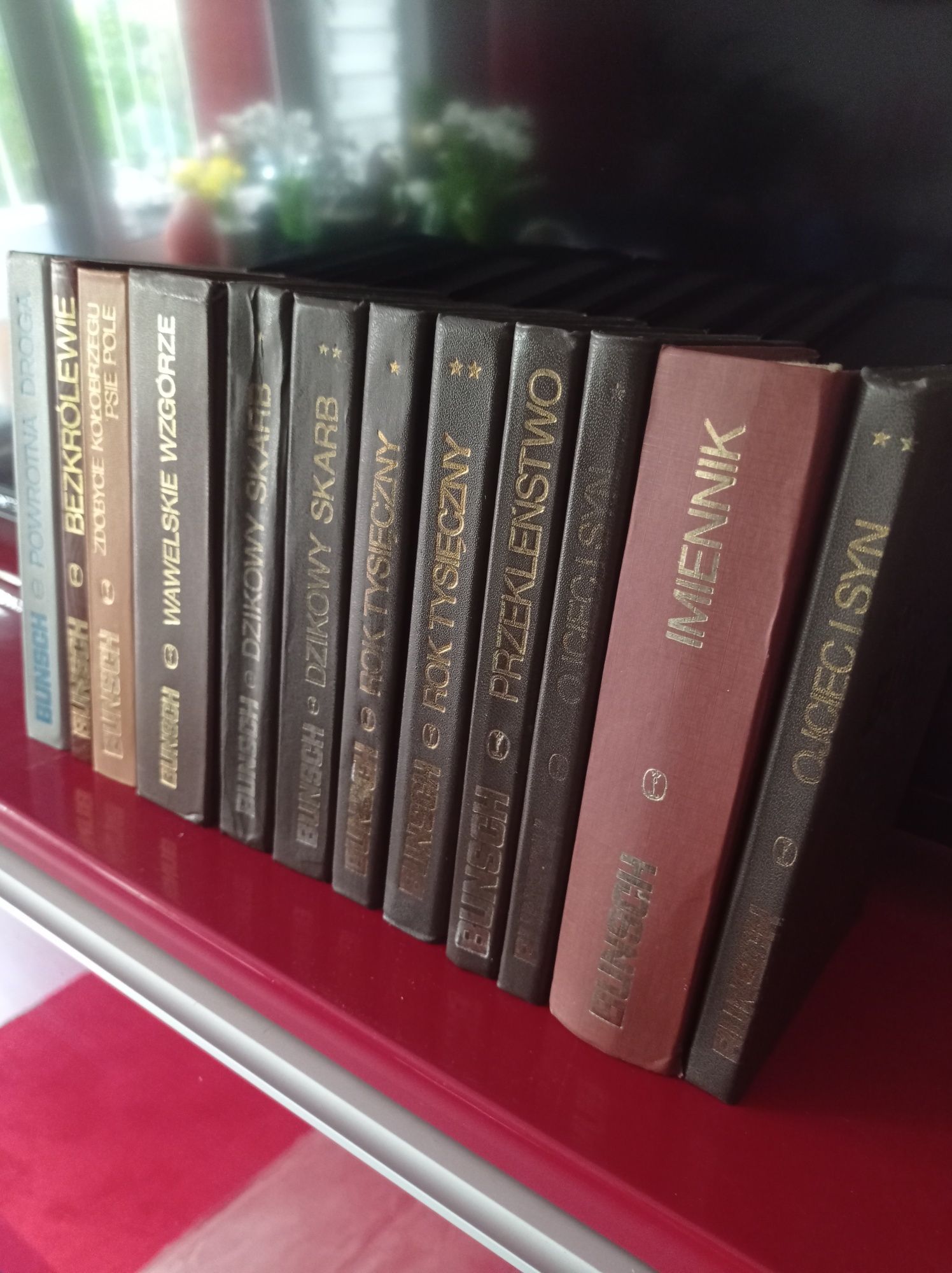 Kolekcja książek Karola Bunscha