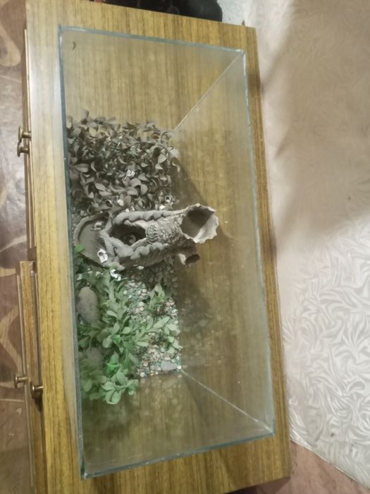 Декор для акваріума