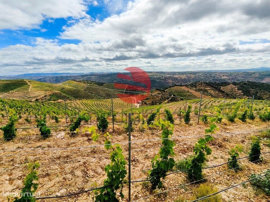 Quinta No Douro Superior