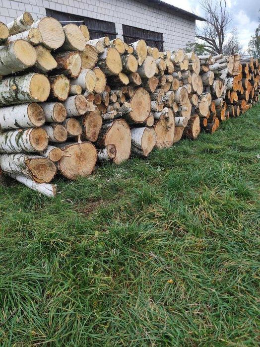 Sprzedam drzewo brzozowe, olchowe