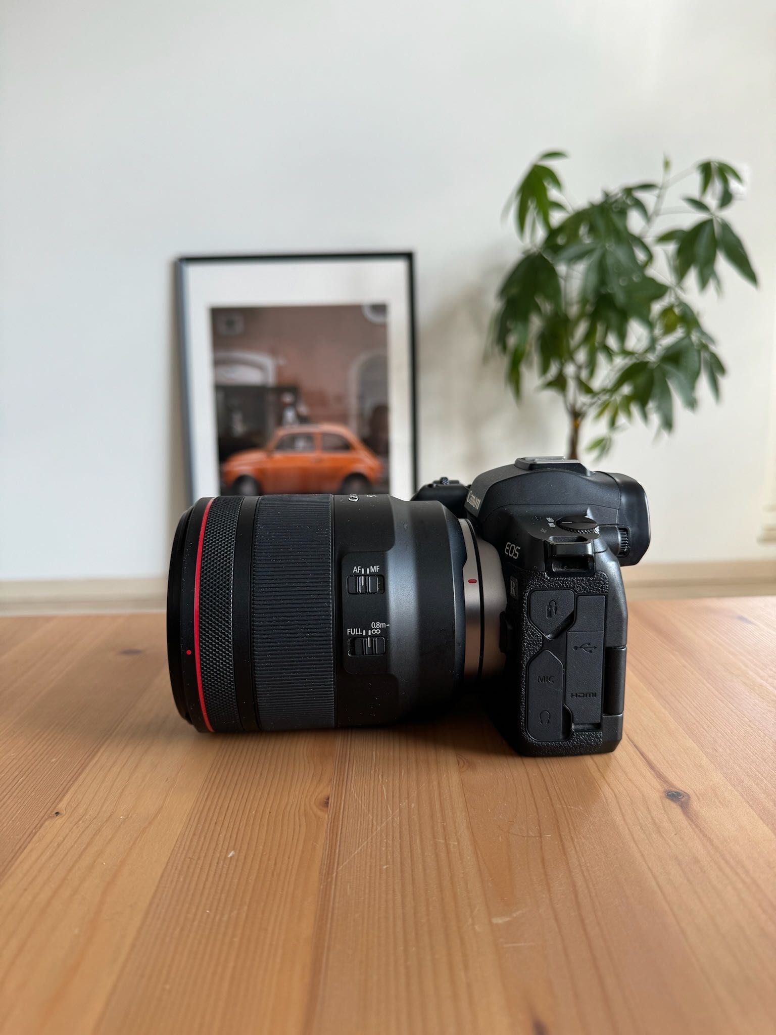 Canon EOS R + RF 50mm 1.2 R USM + Adapter EF FV