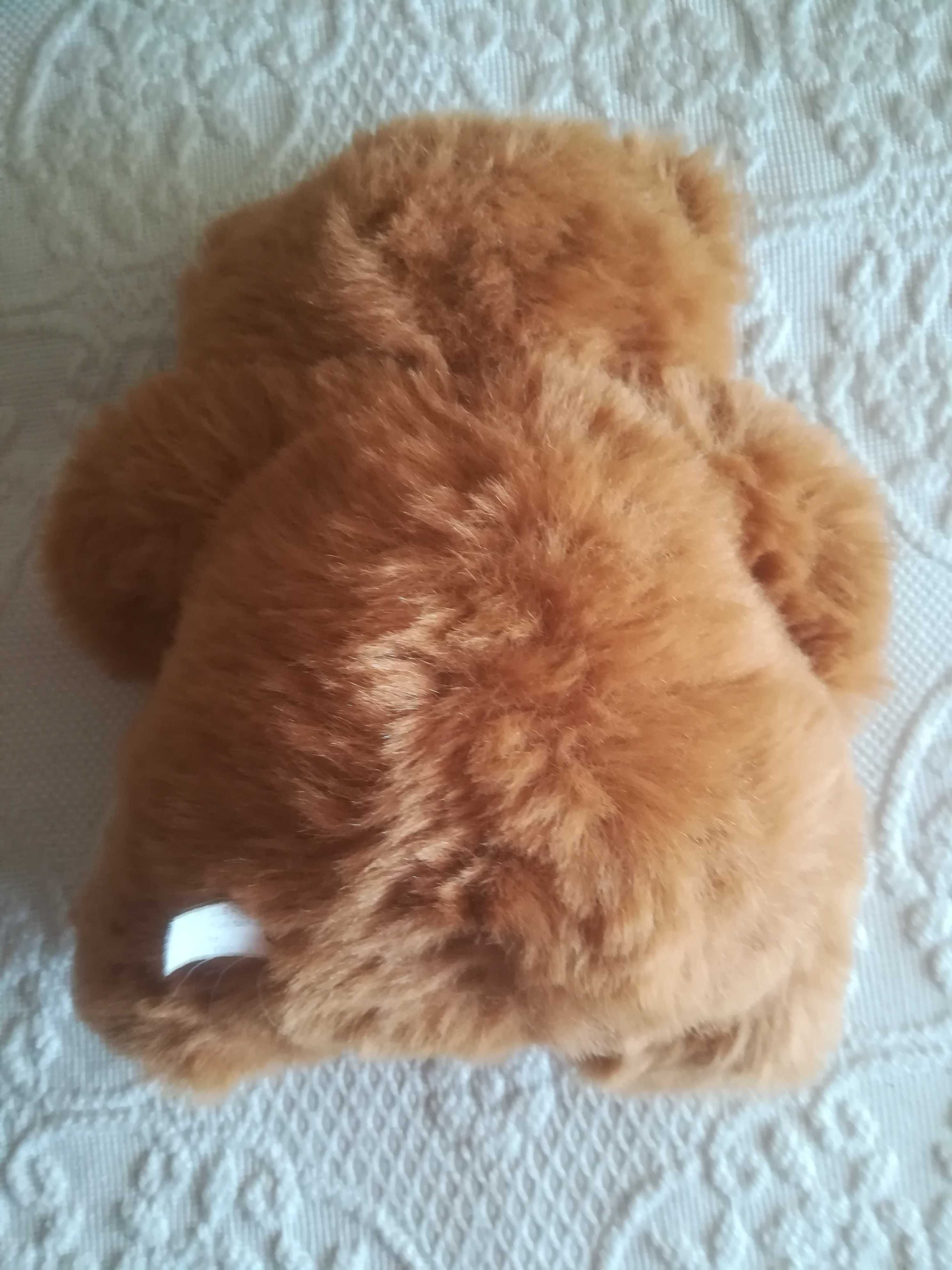 Peluches, cão muito bonito e ursos