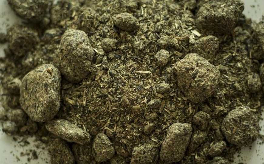 Продажа концентрованих кормів (шрот, макуха, висівки, барда)