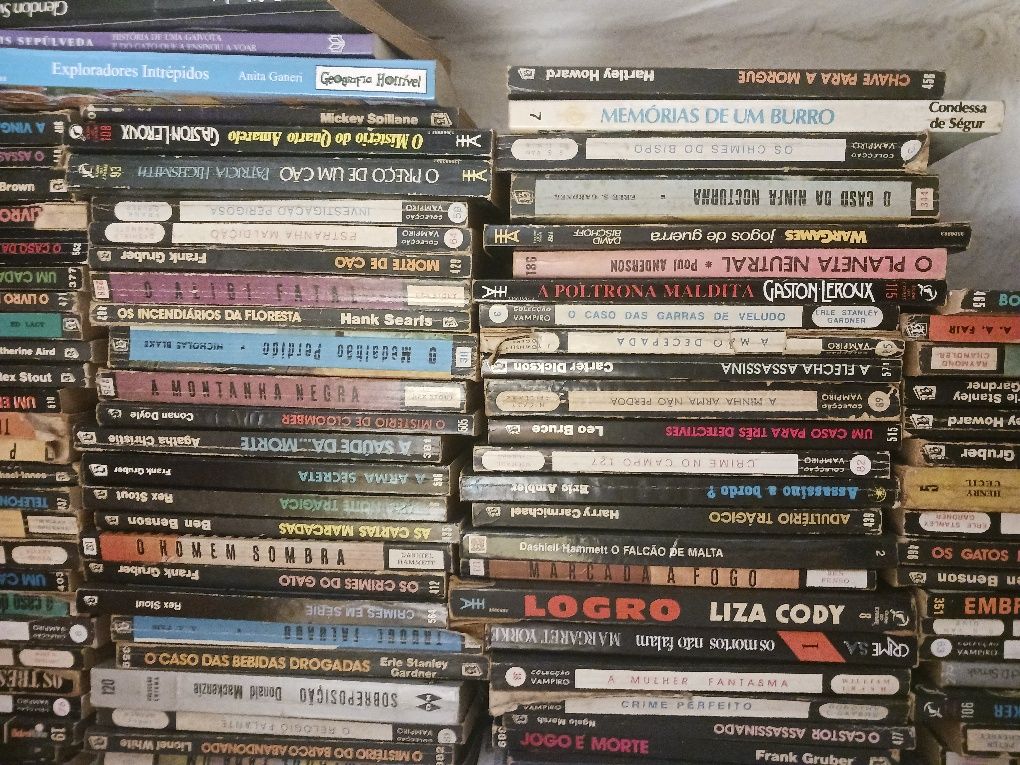 Lote de Livros de Bolso