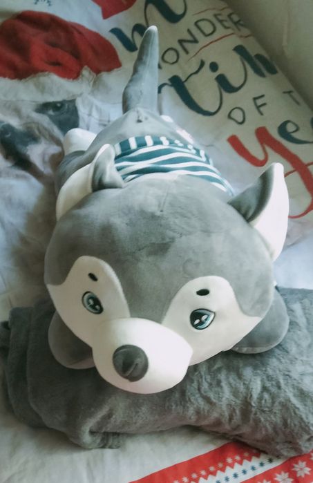 Duży piesek z kocykiem 3w1