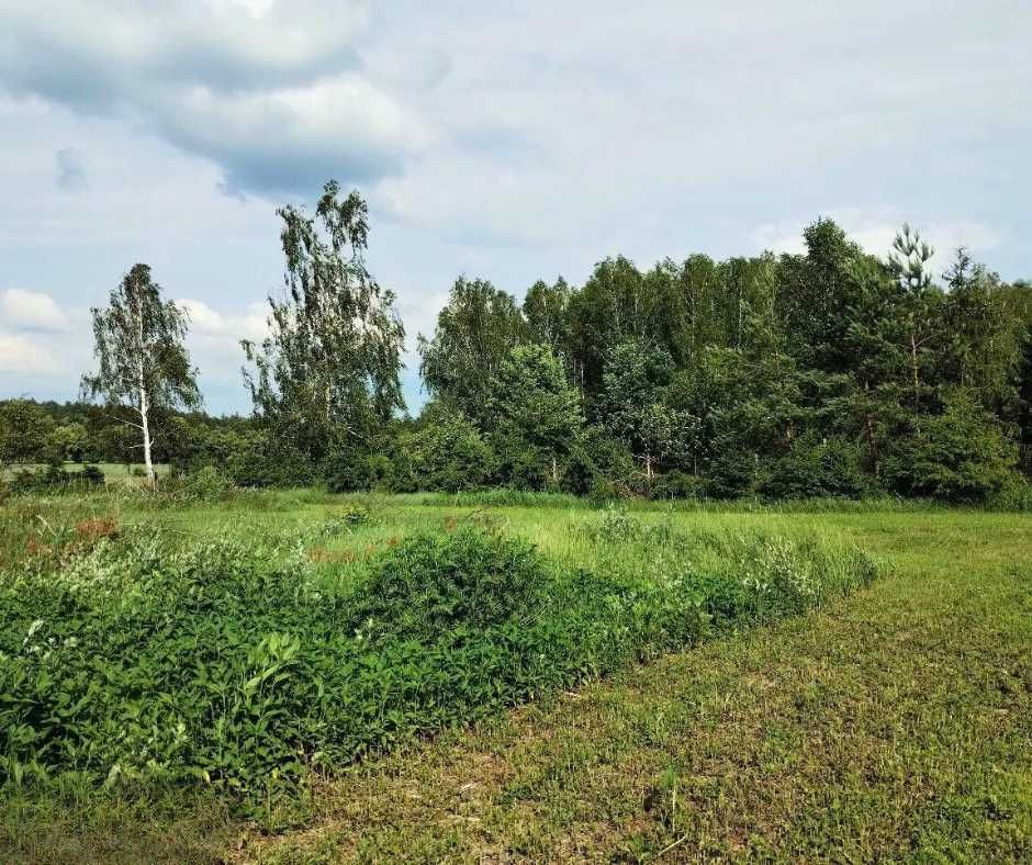 Sprzedam działkę 3200 m2 rekreacyjną blisko lasu- 80 km od Warszawy!