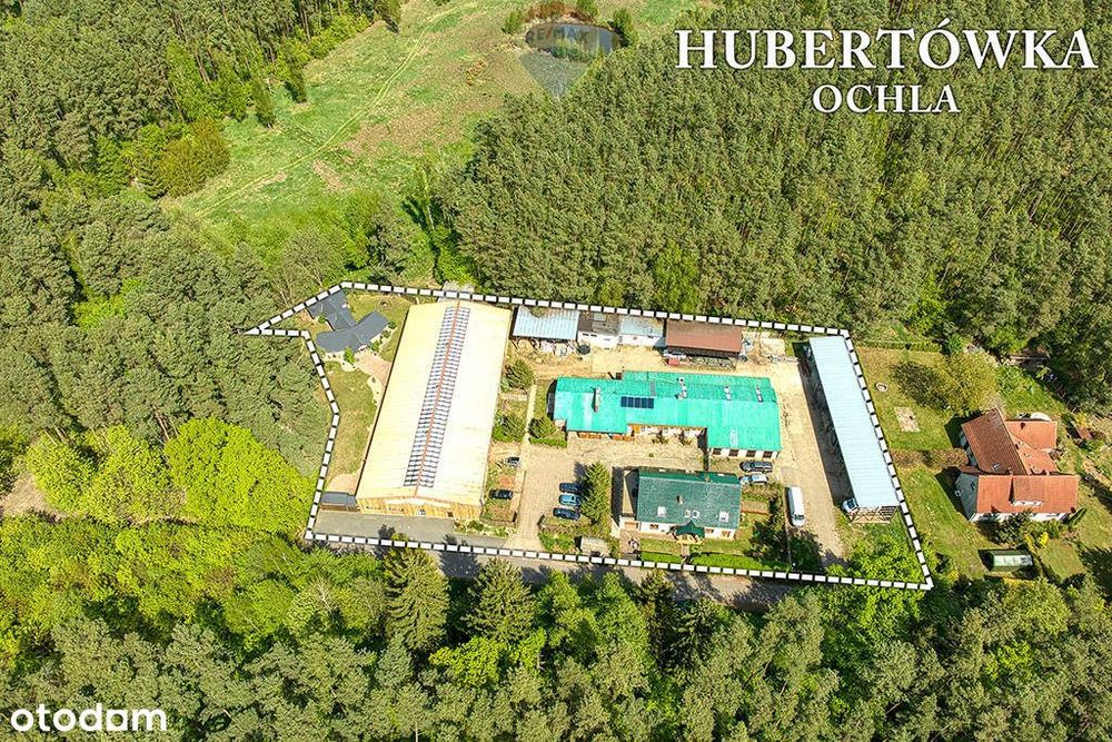 Doskonała okazja dla koniarzy i nie tylko!