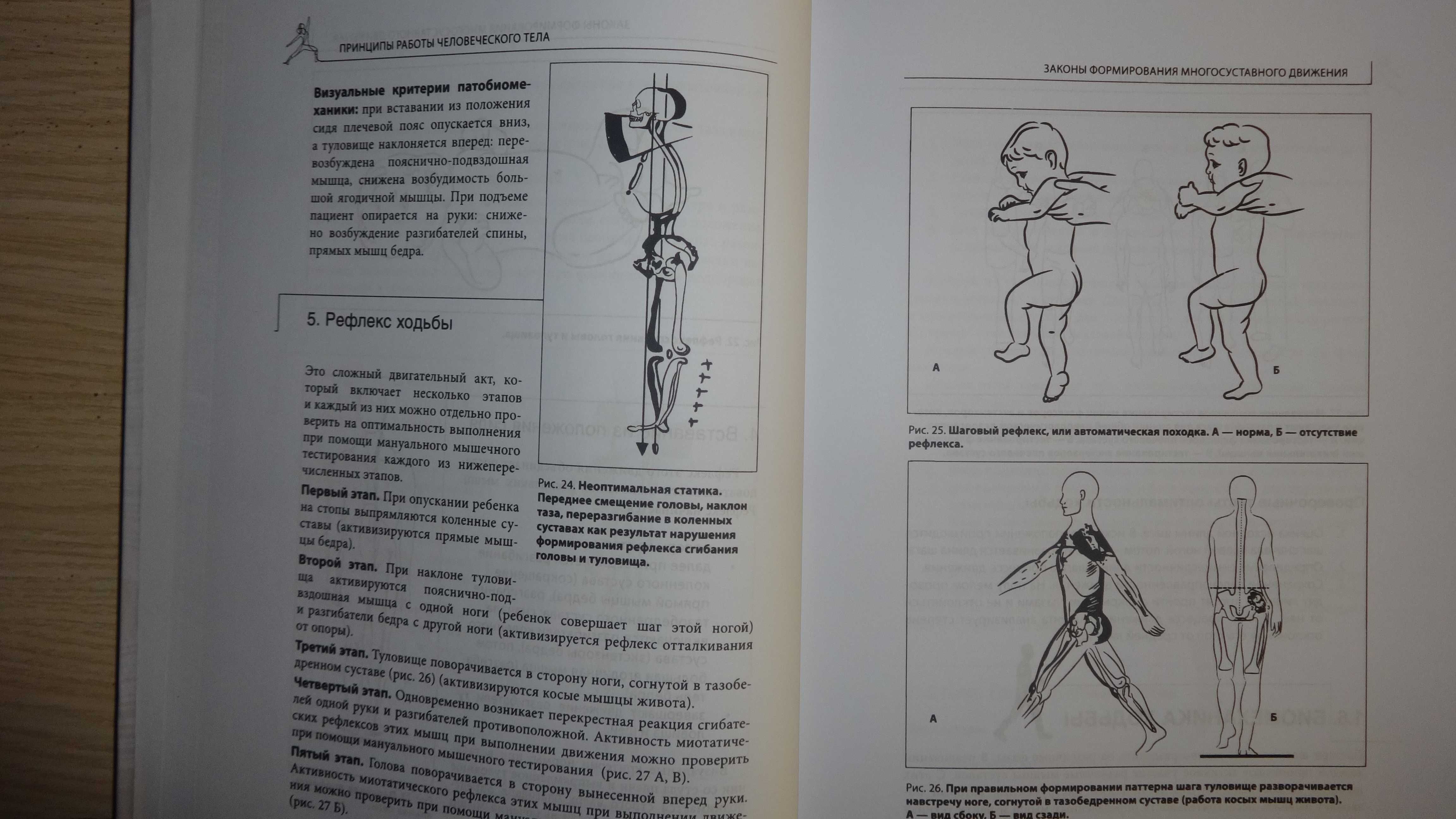 Книга "Прикладная кинезиология" Васильева Л.Ф.