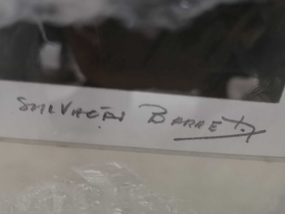 Serigrafia de Salvação Barreto, com o nome "Da mesma Cor"