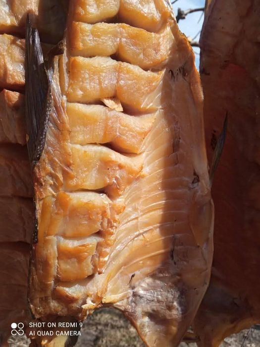 Толстолоб холодного копчення.Відмінний смаколик до пива.