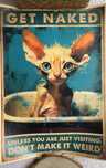 Plakat Cat Sphynx