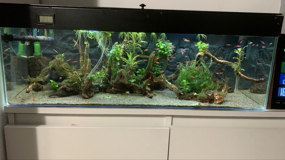 Akwarium bezobsługowe jamnik filtry gratisy