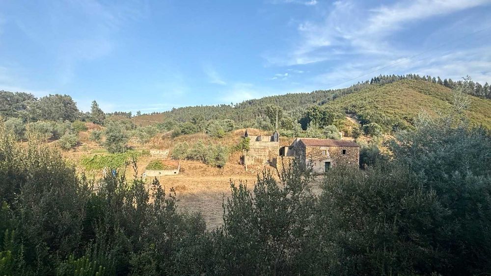 Moradias Rústicas e Terreno